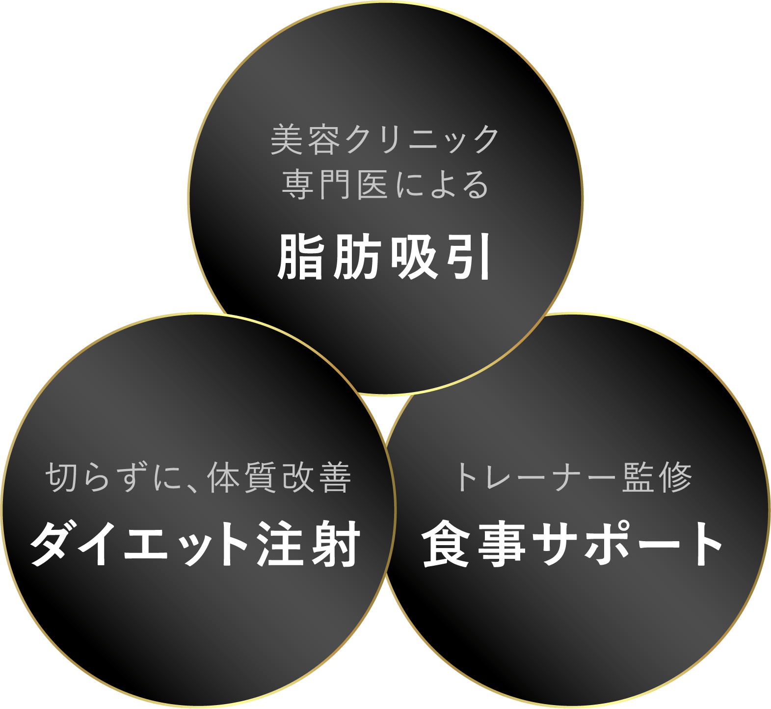 脂肪吸引、ダイエット注射、食事サポート