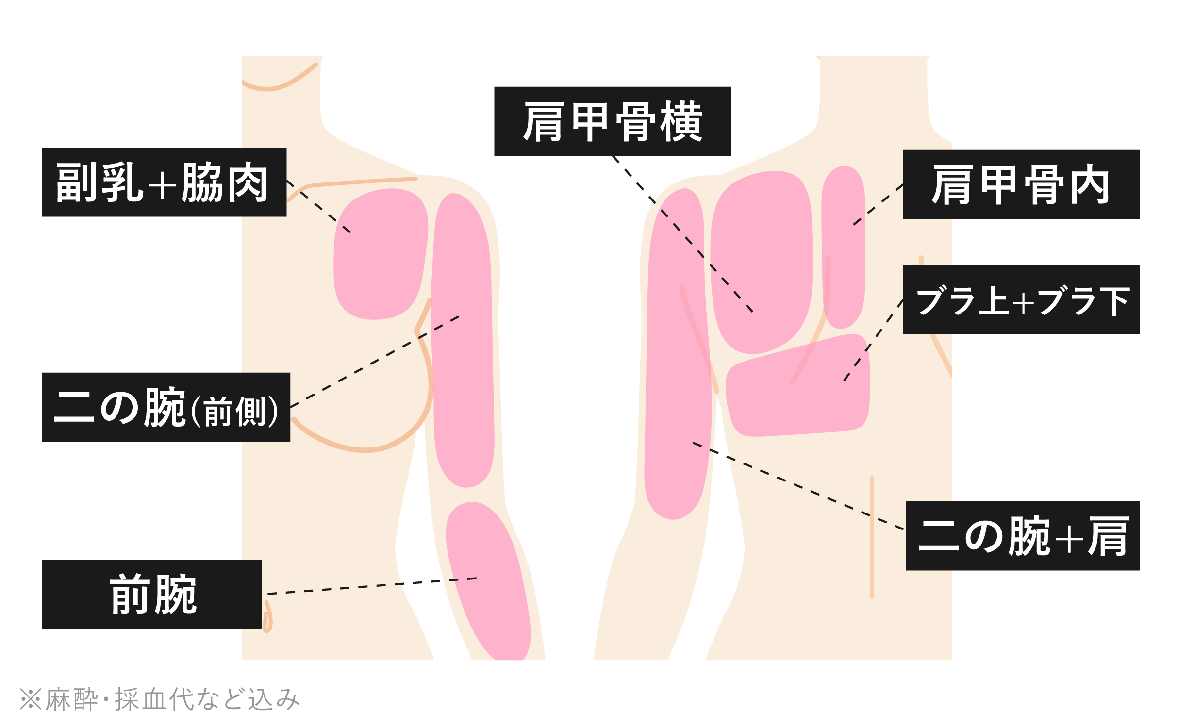 <br />
<b>Warning</b>:  Undefined variable $img_alt in <b>/home/r9092703/public_html/4dclinic.jp/wp/wp-content/themes/4d-clinic/archive-price.php</b> on line <b>241</b><br />
